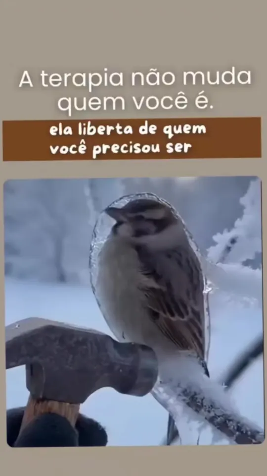 Assistir ao vídeo